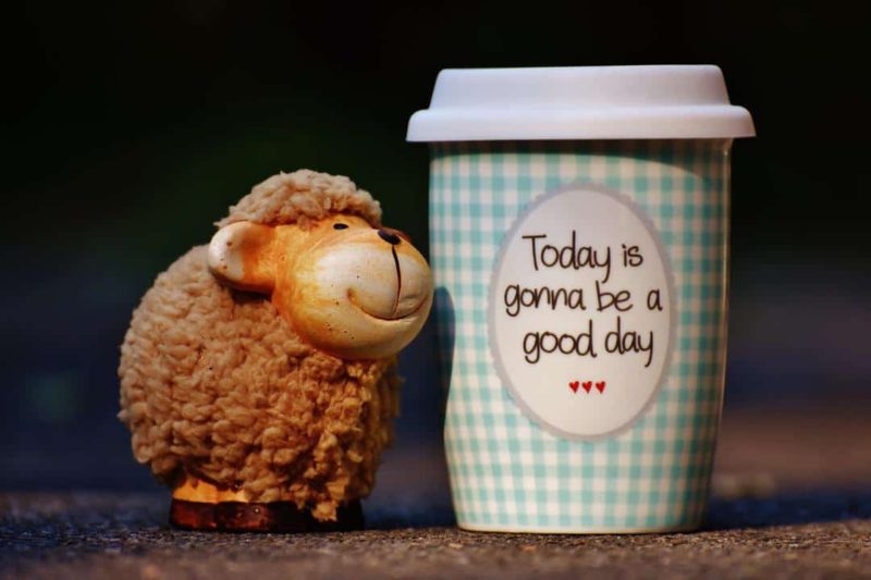 toy lamb with a small coffee cup