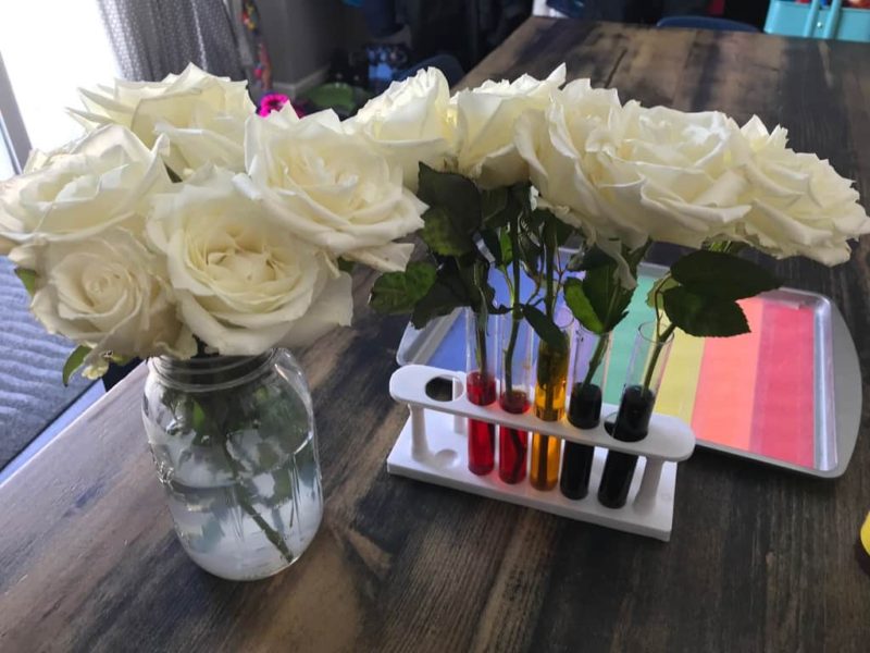 white roses in a vase