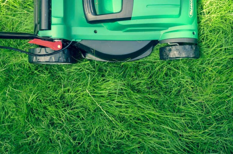 lawn mower in green grass