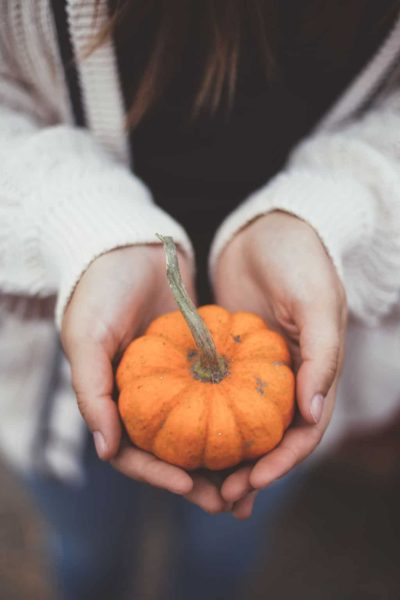 hands holding out mini pumpkin a sign of gratitude